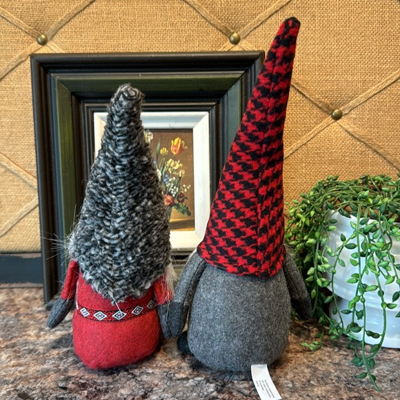 Gnomes - Picture 5 of 7